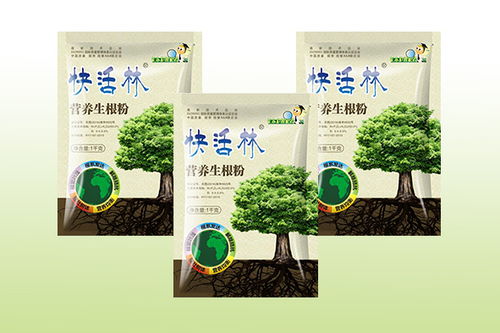 林木育苗中生根粉的科学用法与高效施用指南