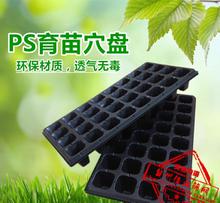 林木育苗图片